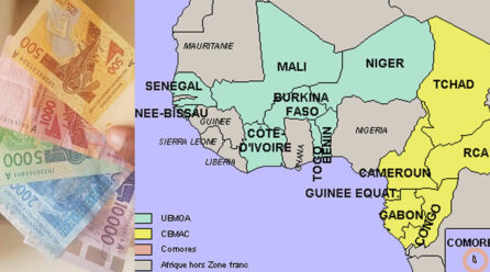 Le FCFA, principal obstacle du développement des pays africains